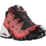SPIKECROSS 6 GTX