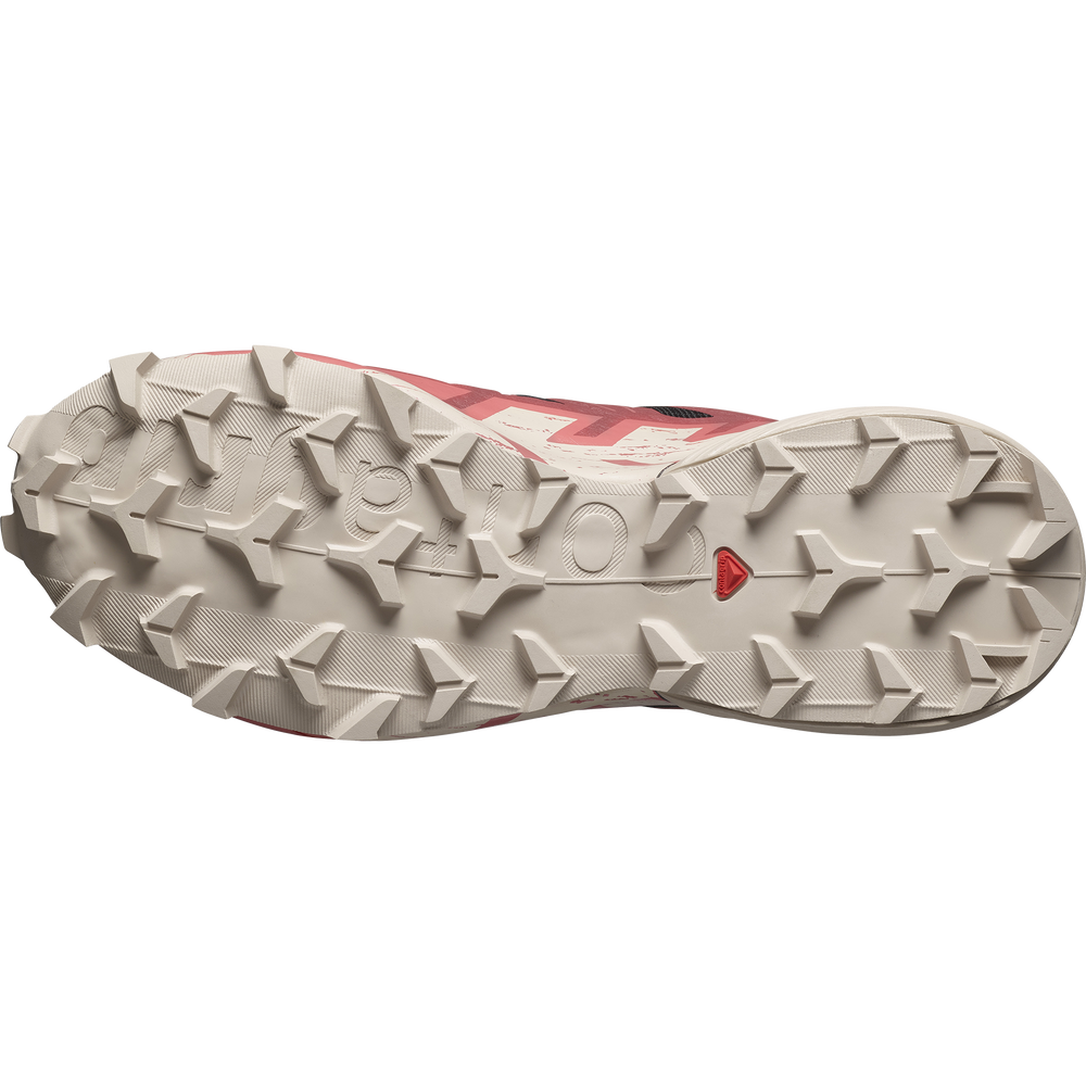 SPEEDCROSS 6 GORE-TEX