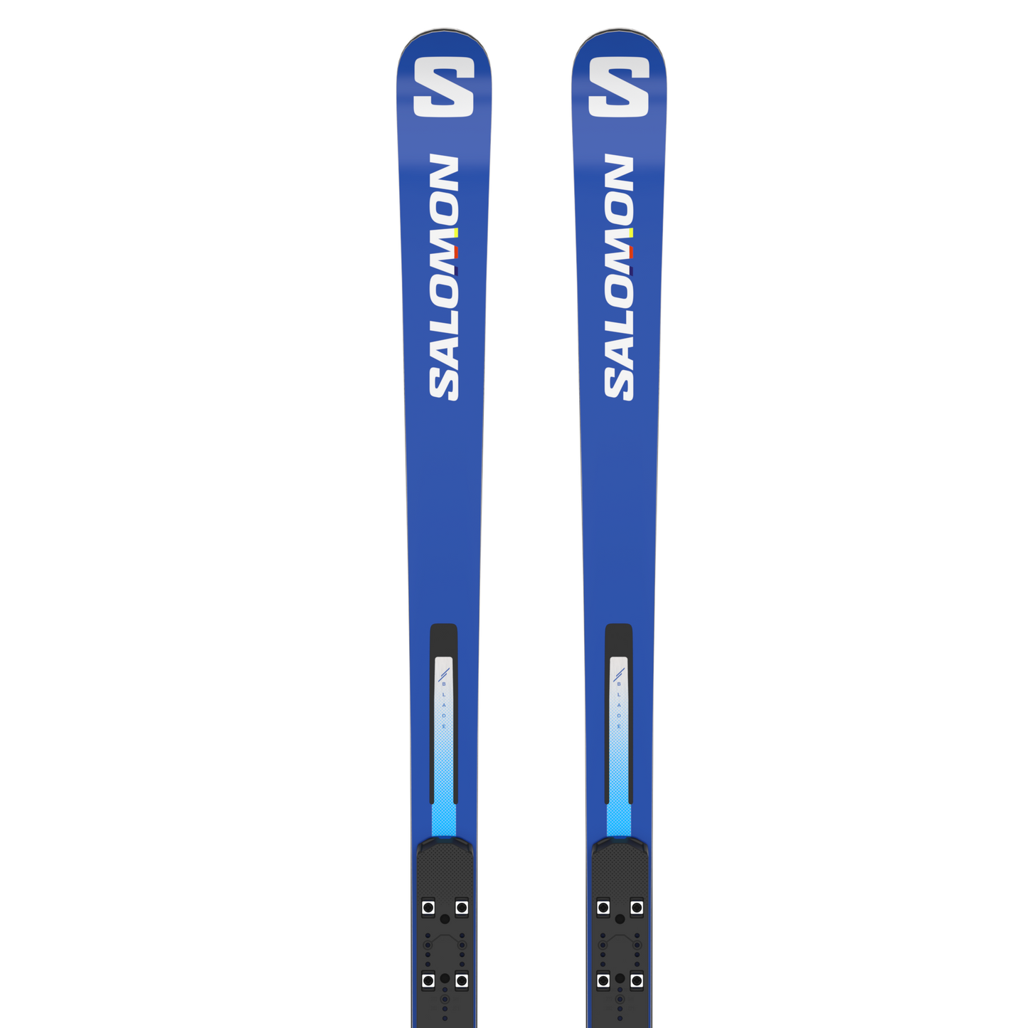 超歓迎 サロモン R31 GS スキー板 即購入可 183cm スキー - ternio.com