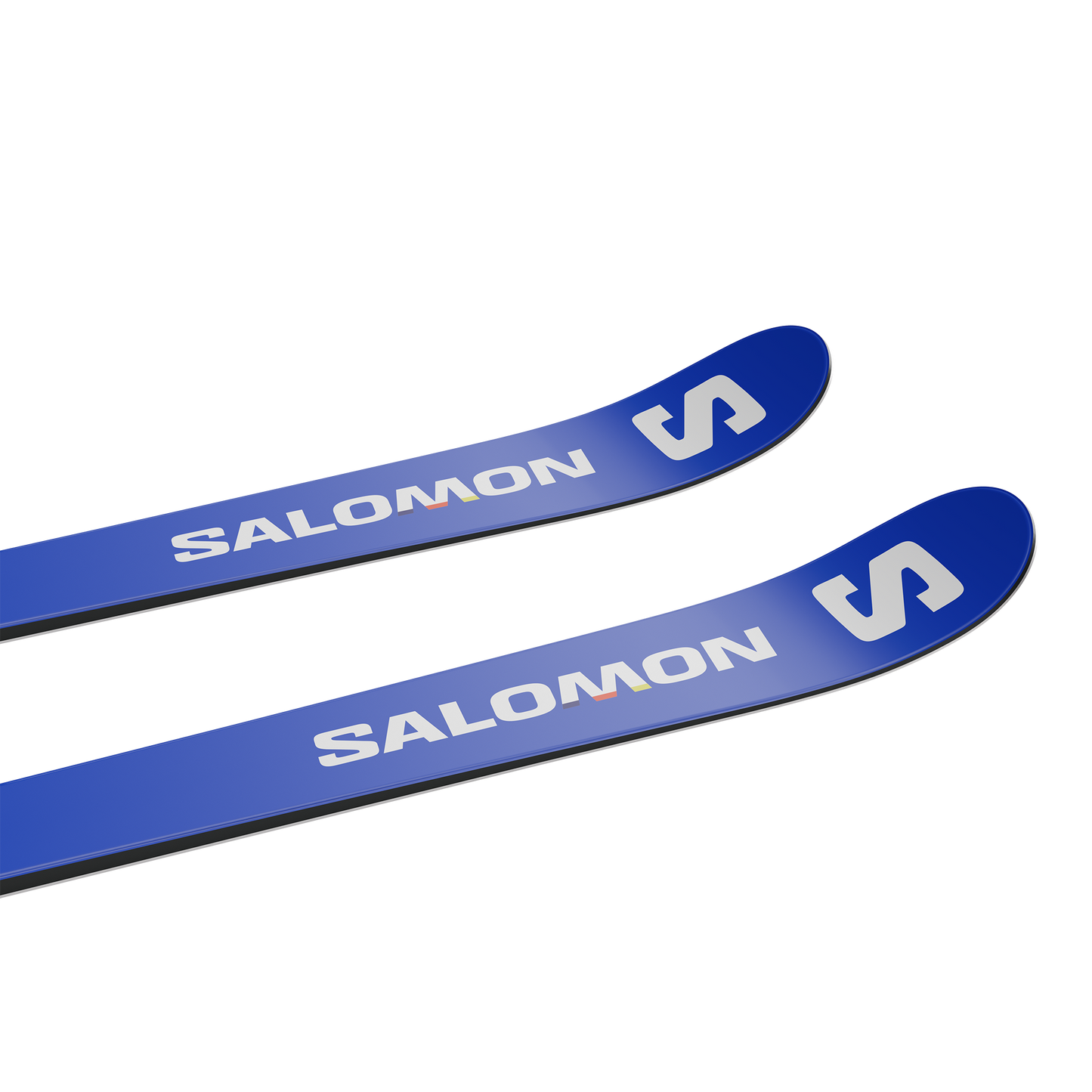 スキー SALOMON S/RACE GS FIS 193cm S/RACE FIS GS 193 30m スキー SALOMON S/RACE GS FIS 193cm S/RACE FIS GS 193 30m