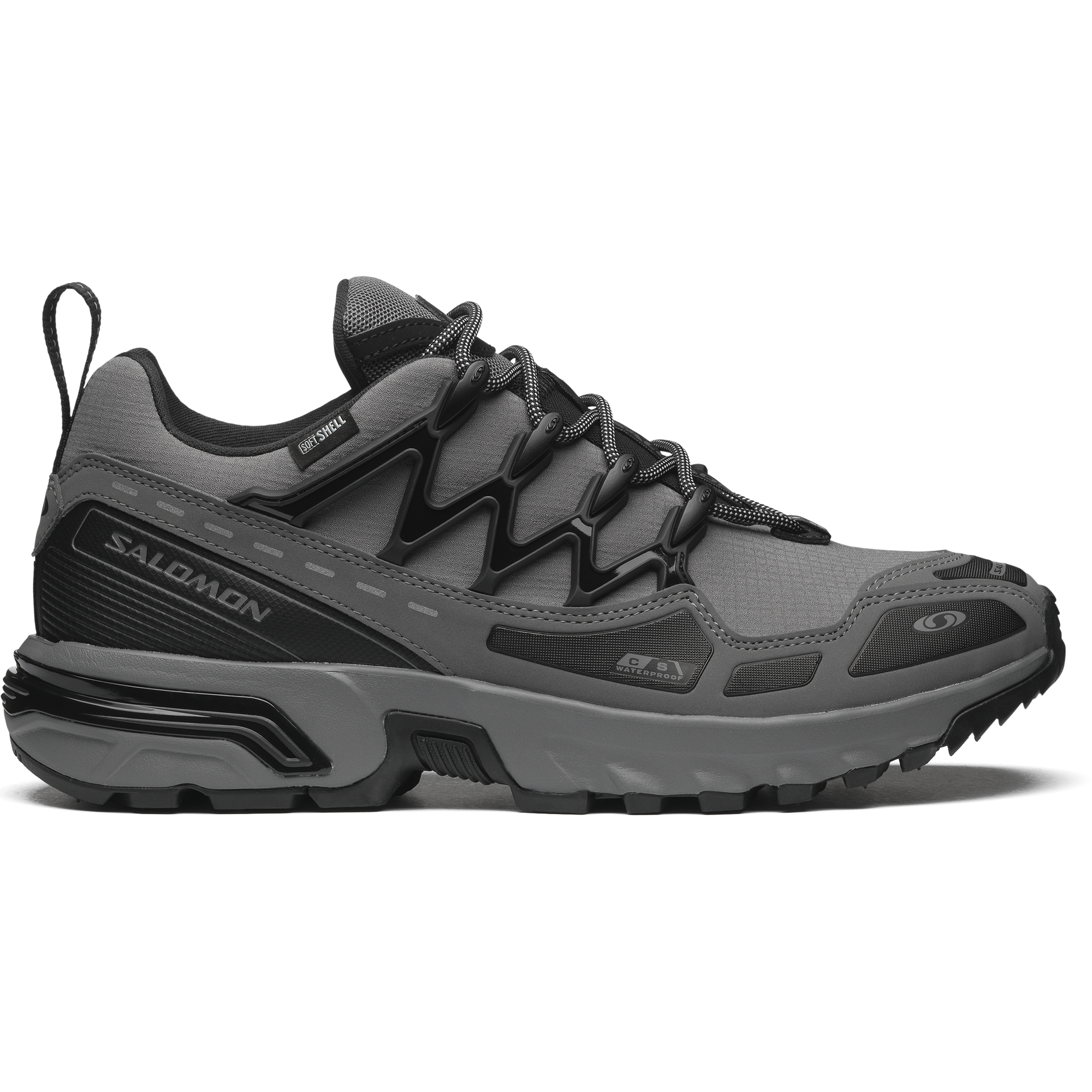 Salomon Axendo 9スキー サロモン 167cm ダウンヒル pro（ACS +