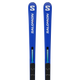 S/RACE FIS GS 173 20m