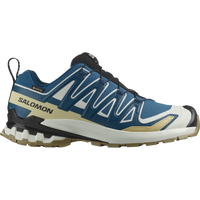 XA PRO 3D V9 GORE-TEX