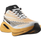 SPECTUR 2