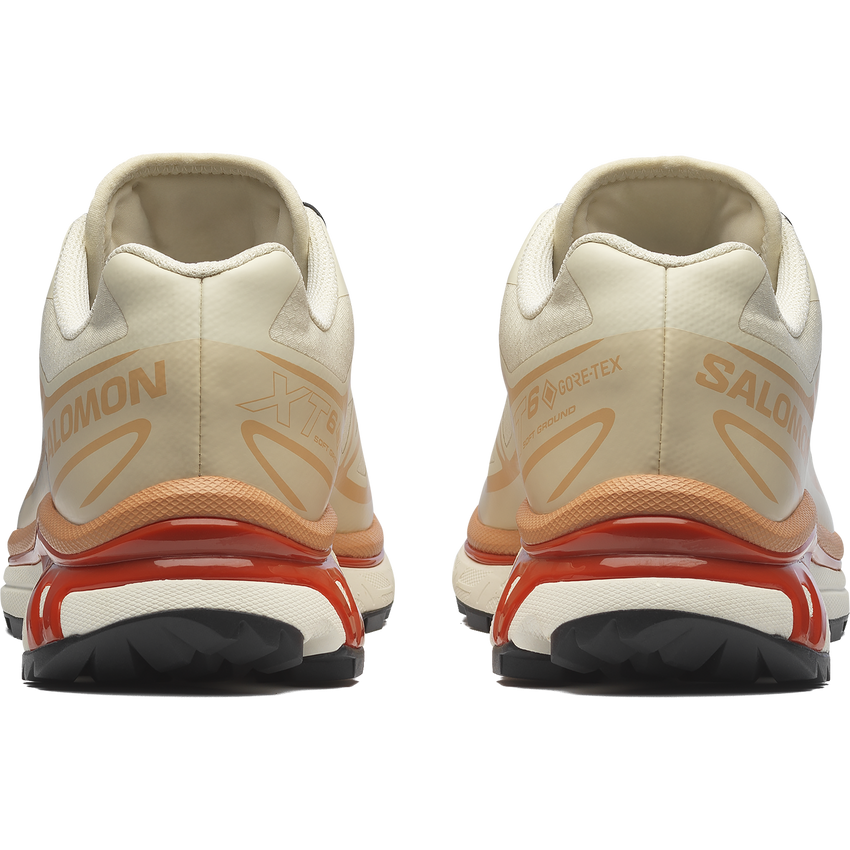 XT-6 GORE-TEX