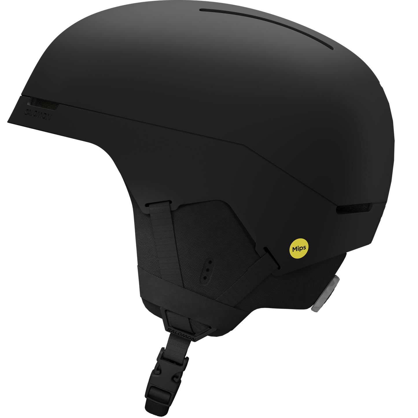 BRIGADE INDEX MIPS