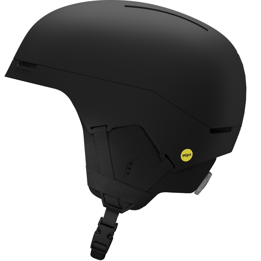 BRIGADE INDEX MIPS