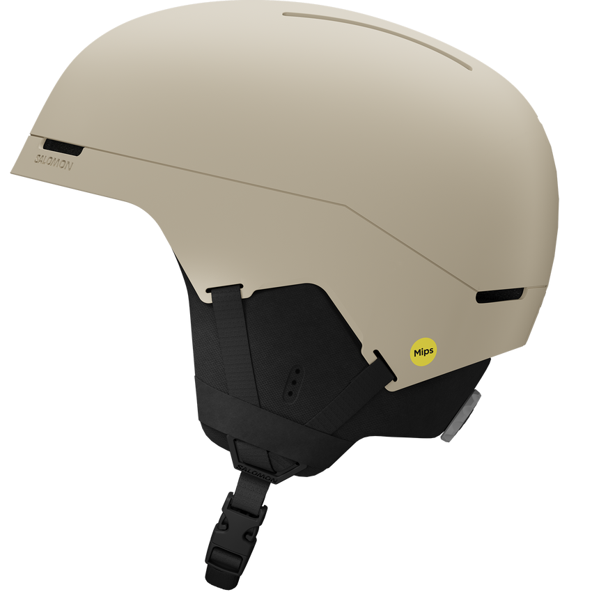 BRIGADE INDEX MIPS