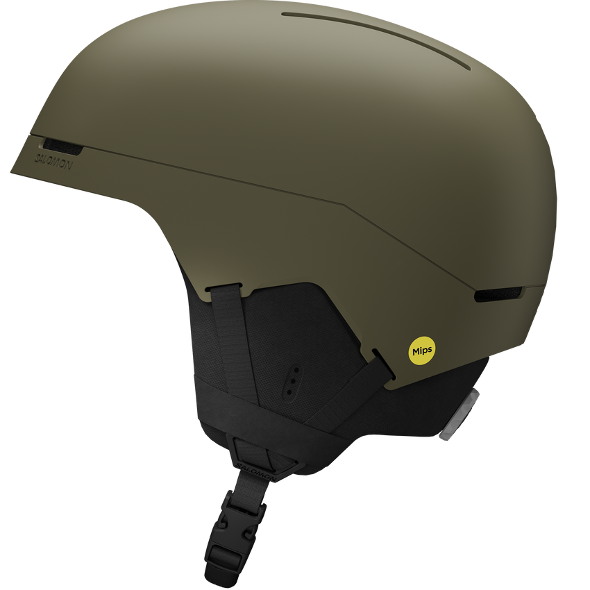 BRIGADE INDEX MIPS