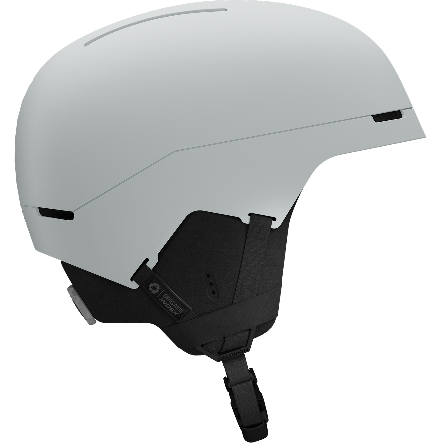 BRIGADE INDEX MIPS