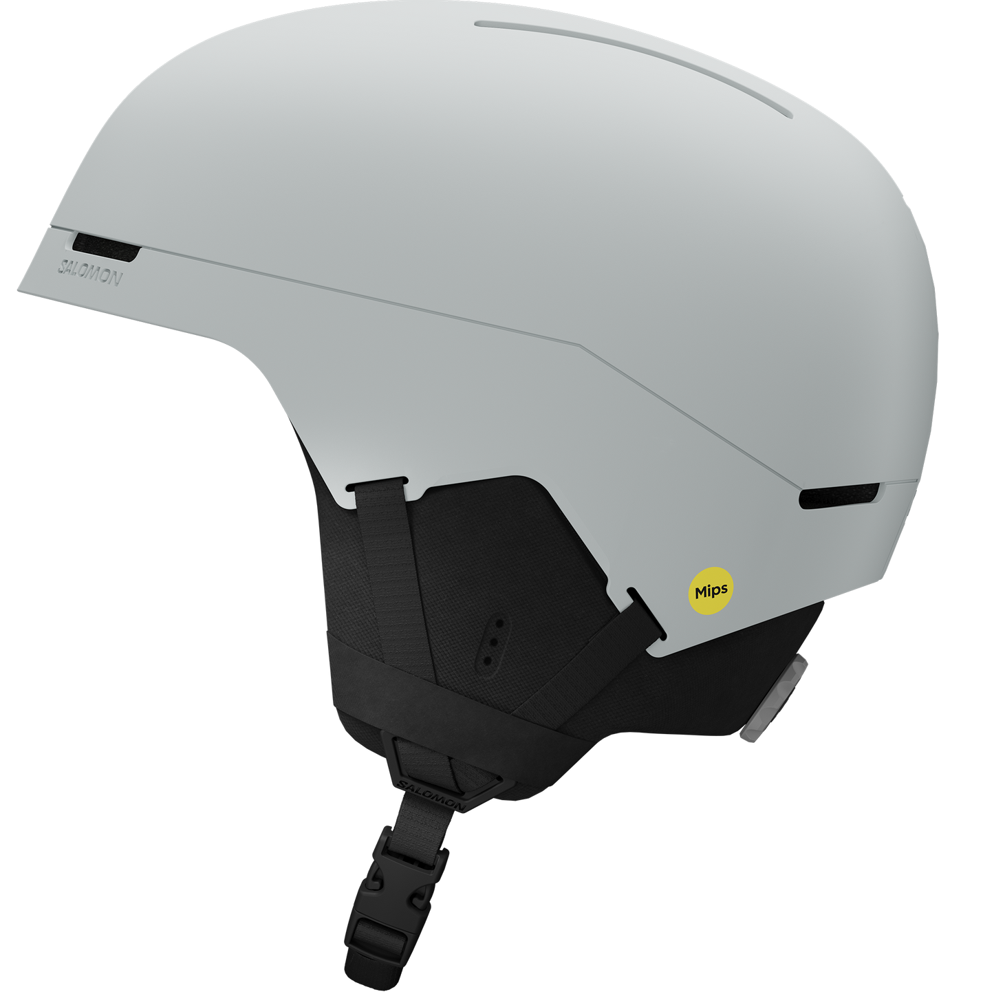BRIGADE INDEX MIPS