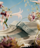 RX MARIE-JEANNE ALPEN BLOSSOM