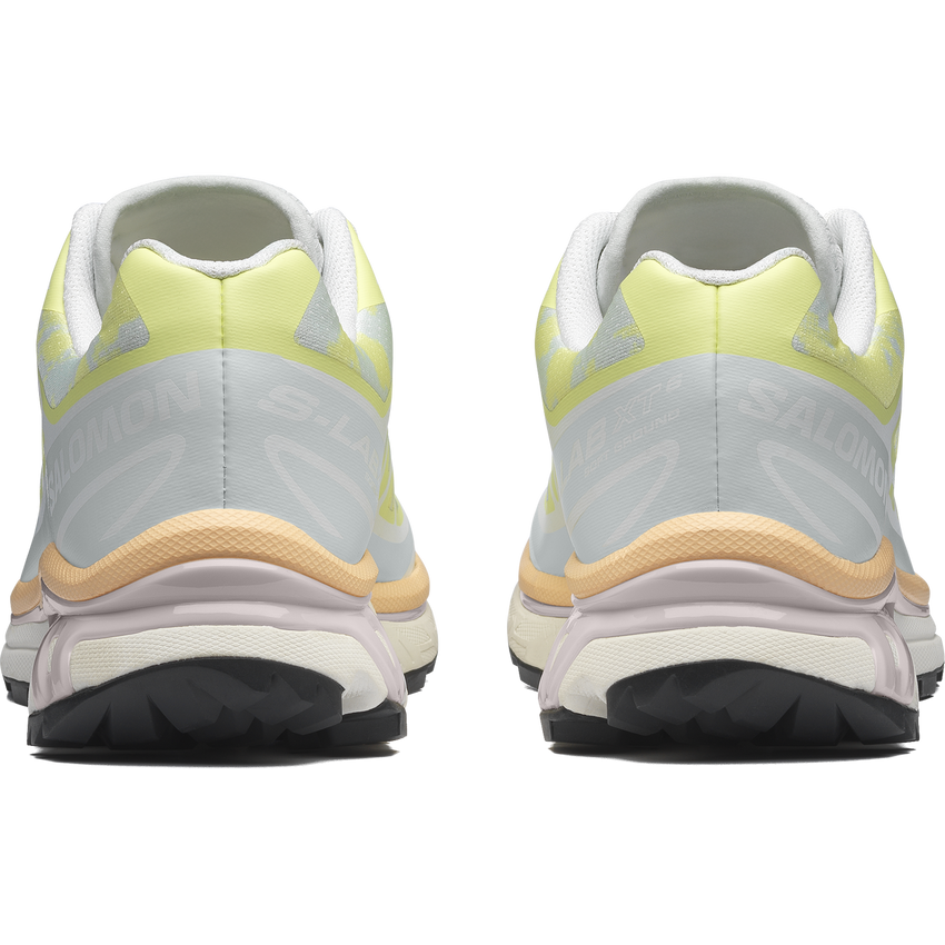 【NEW】XT-6 ALPEN BLOSSOM