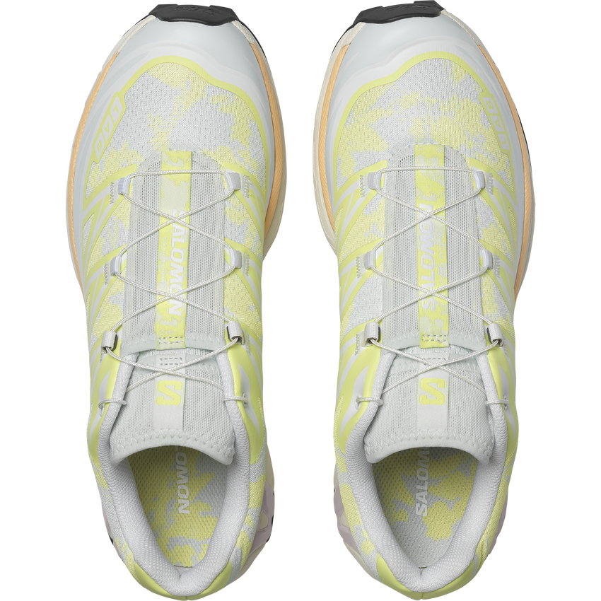 【NEW】XT-6 ALPEN BLOSSOM