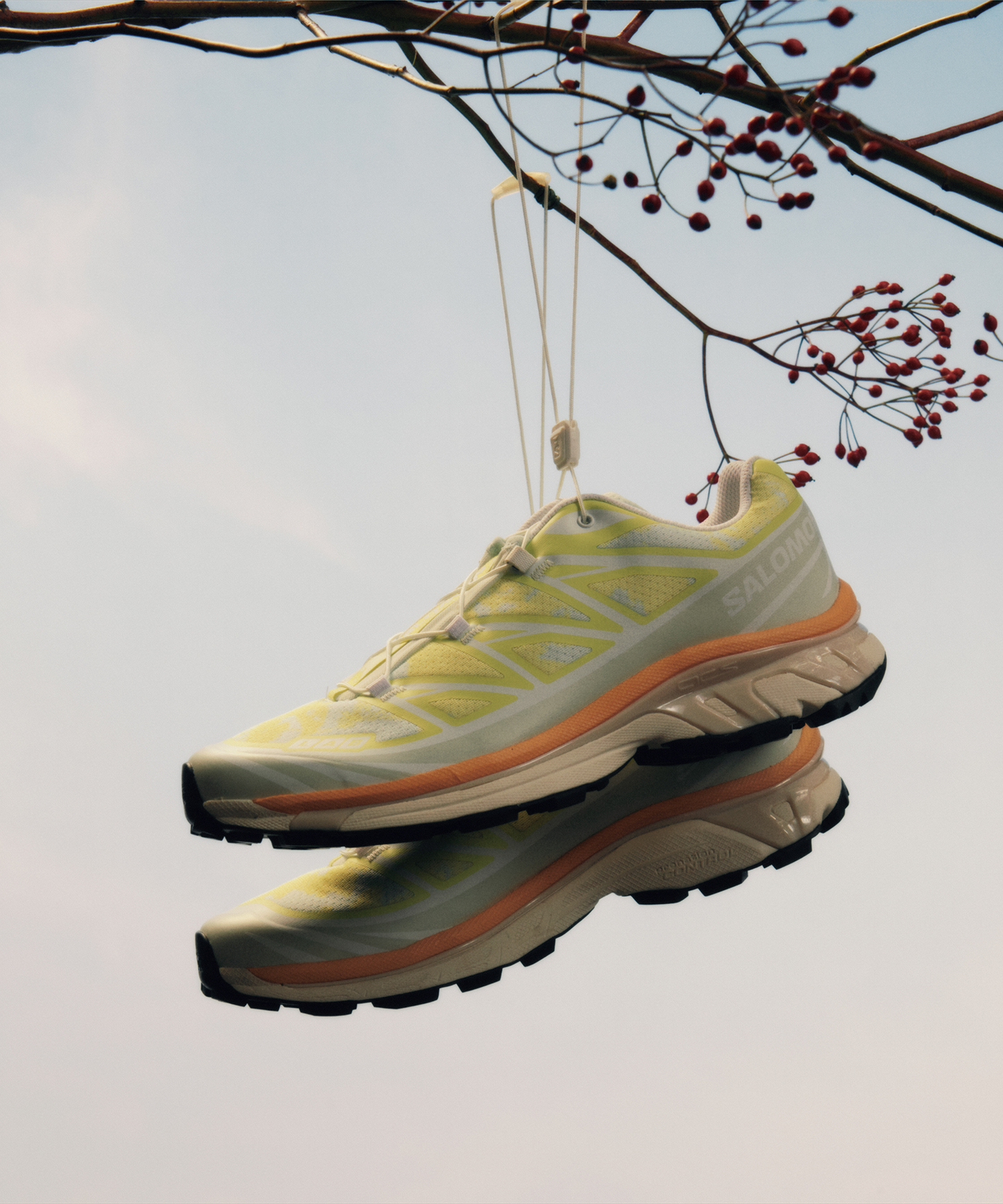 【NEW】XT-6 ALPEN BLOSSOM