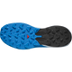 PULSAR
