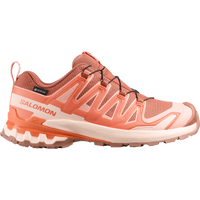 XA PRO 3D V9 GORE-TEX