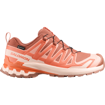 XA PRO 3D V9 GORE-TEX