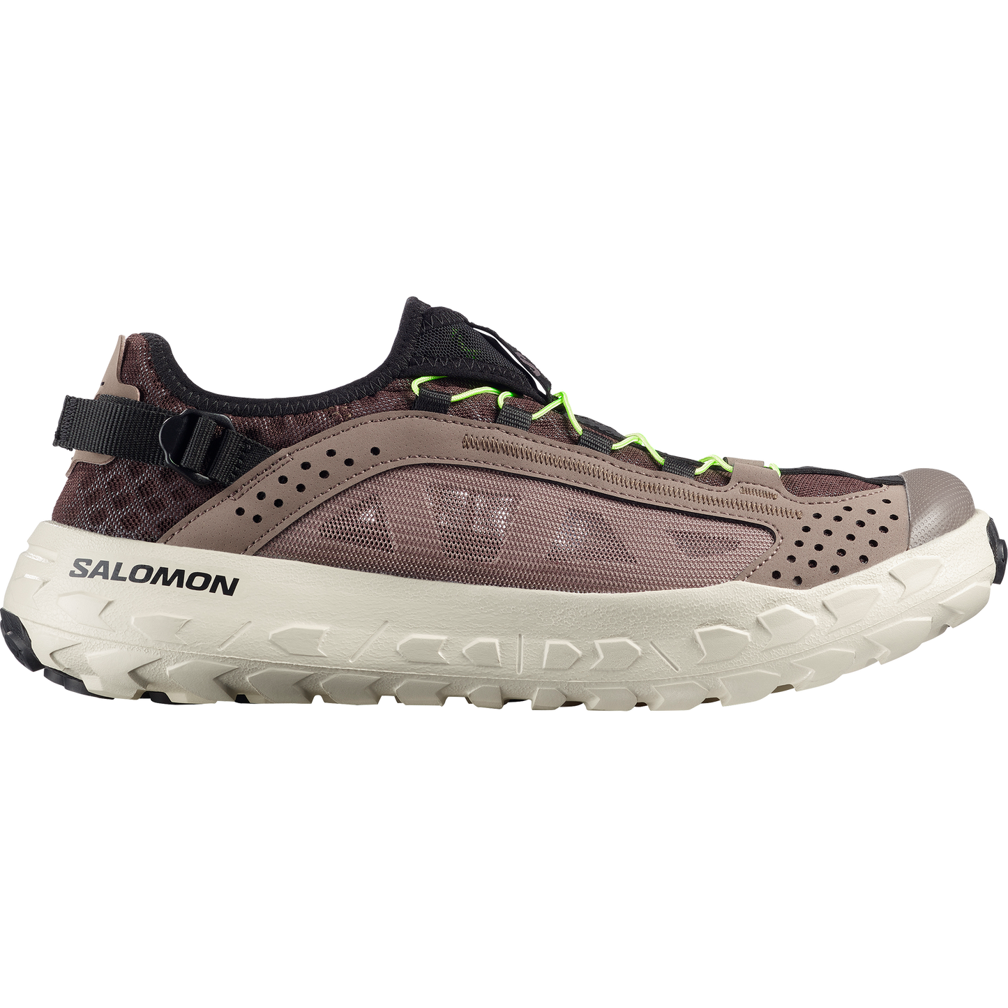 SOLAMPHIBIAN