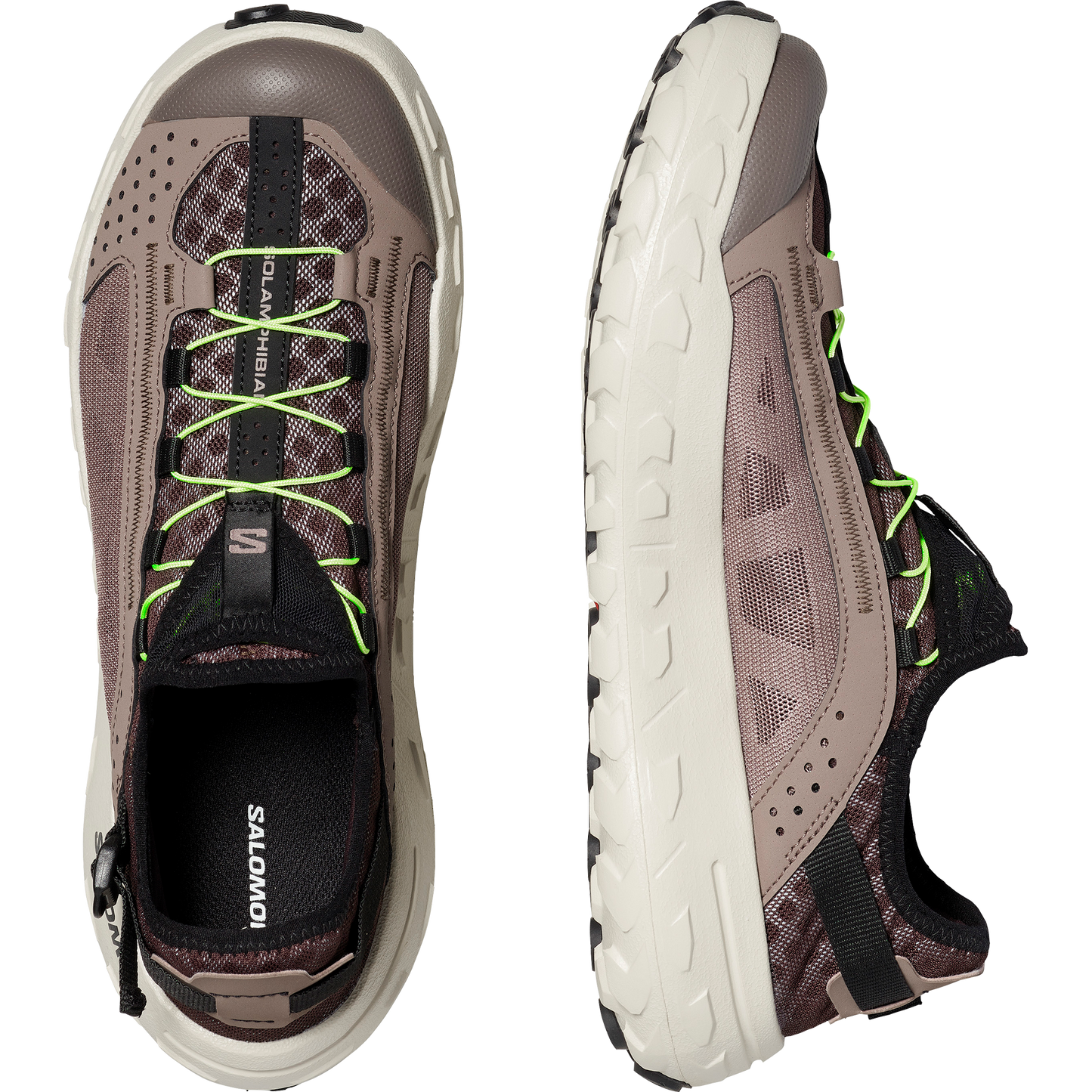 SOLAMPHIBIAN