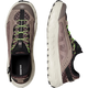 SOLAMPHIBIAN
