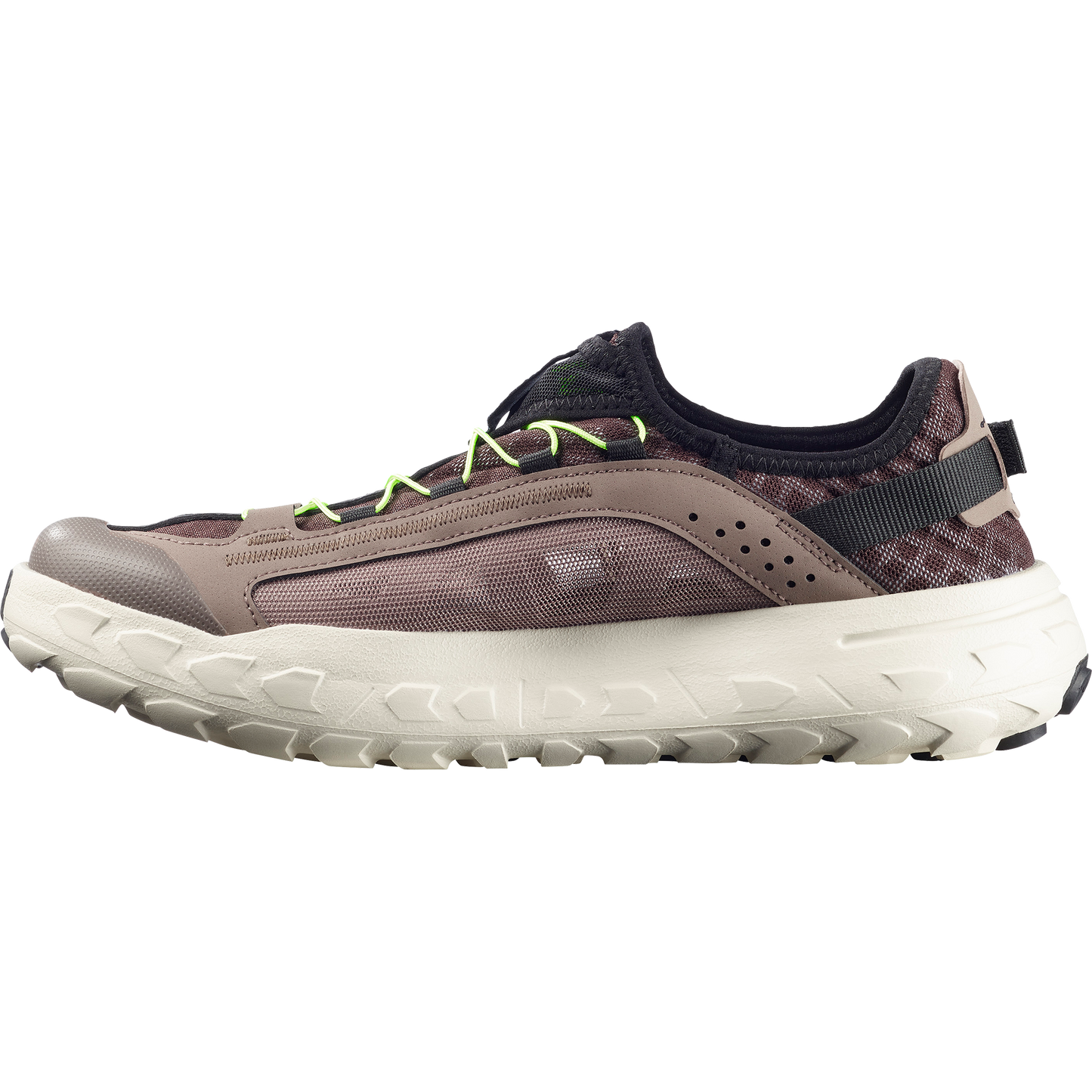 SOLAMPHIBIAN