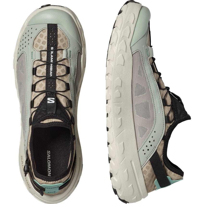 SOLAMPHIBIAN