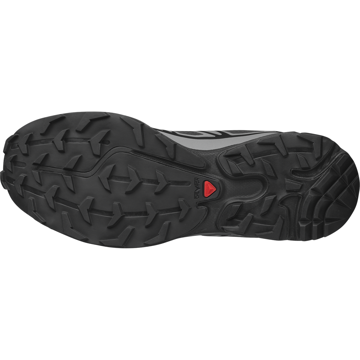 XT-6 NOCTURNE VISION