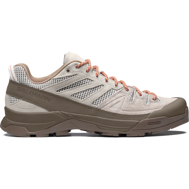 バリエーション画像