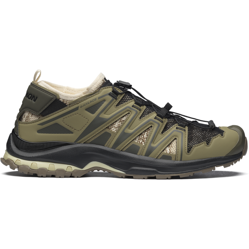 バリエーション画像