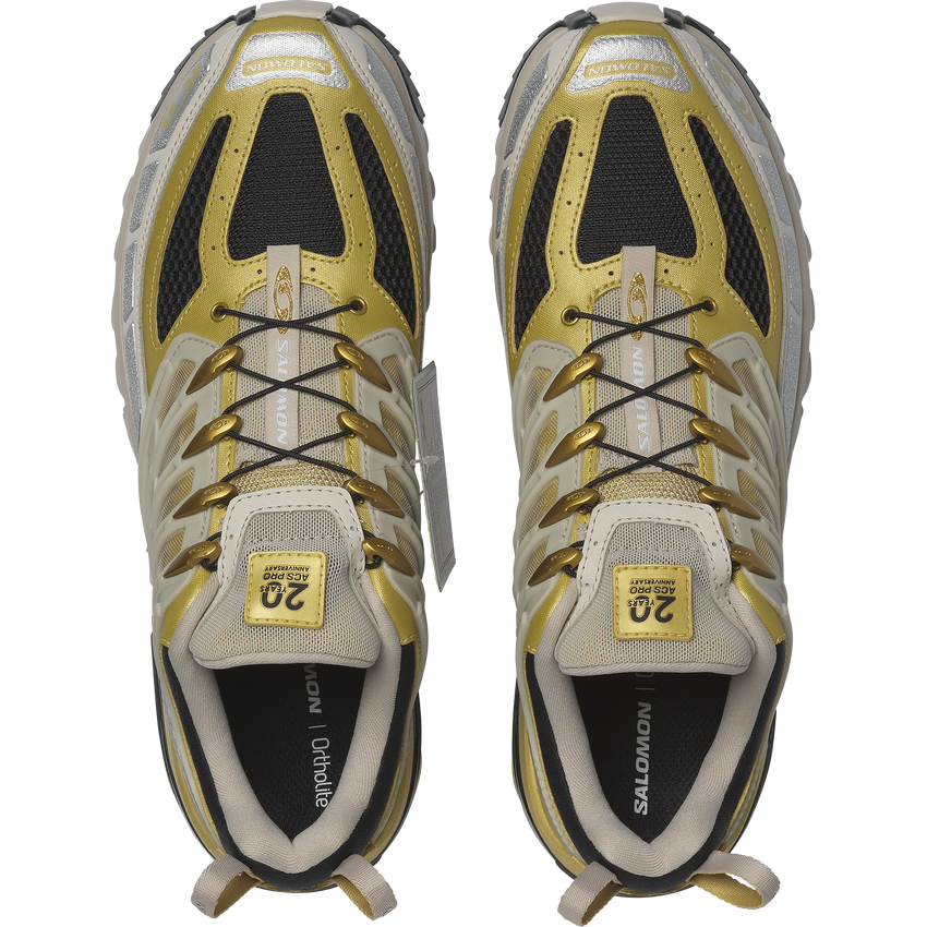 【NEW】ACS PRO 20Y