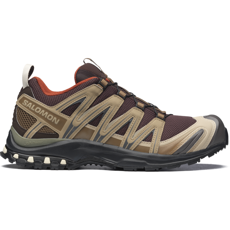 バリエーション画像