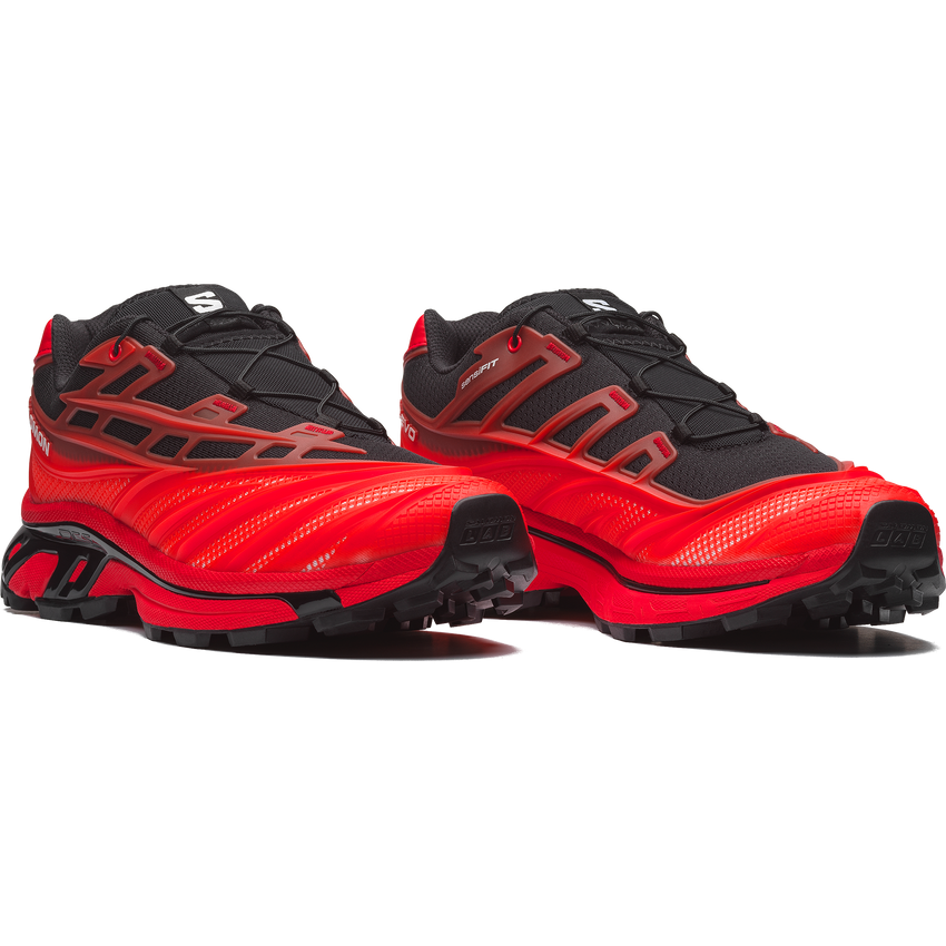 【NEW】XT-EVO