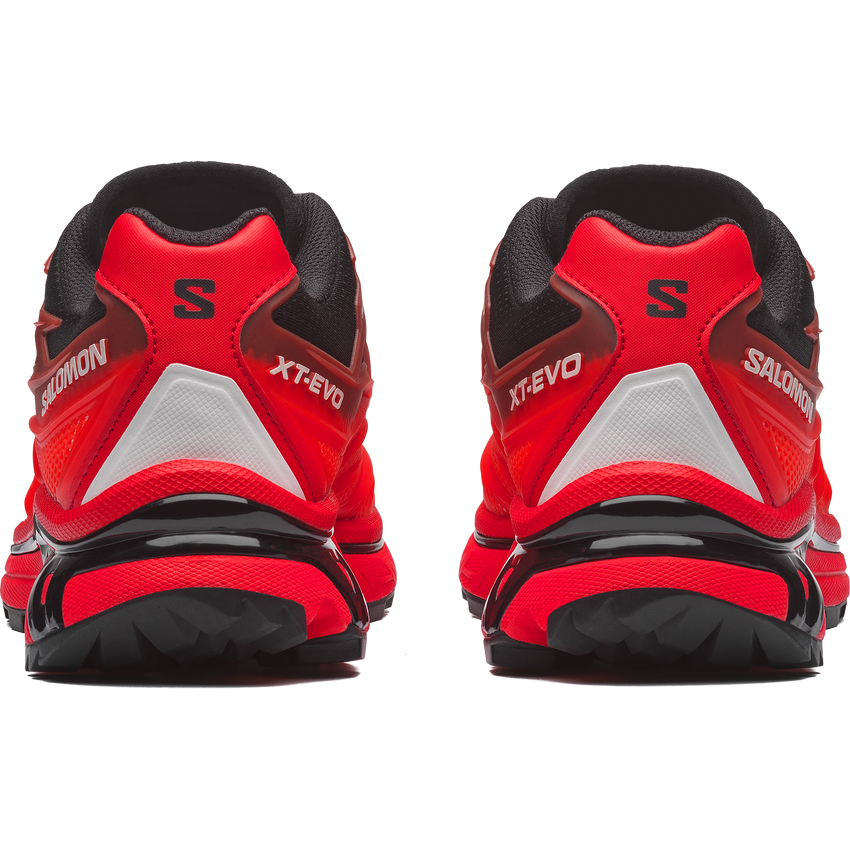 【NEW】XT-EVO