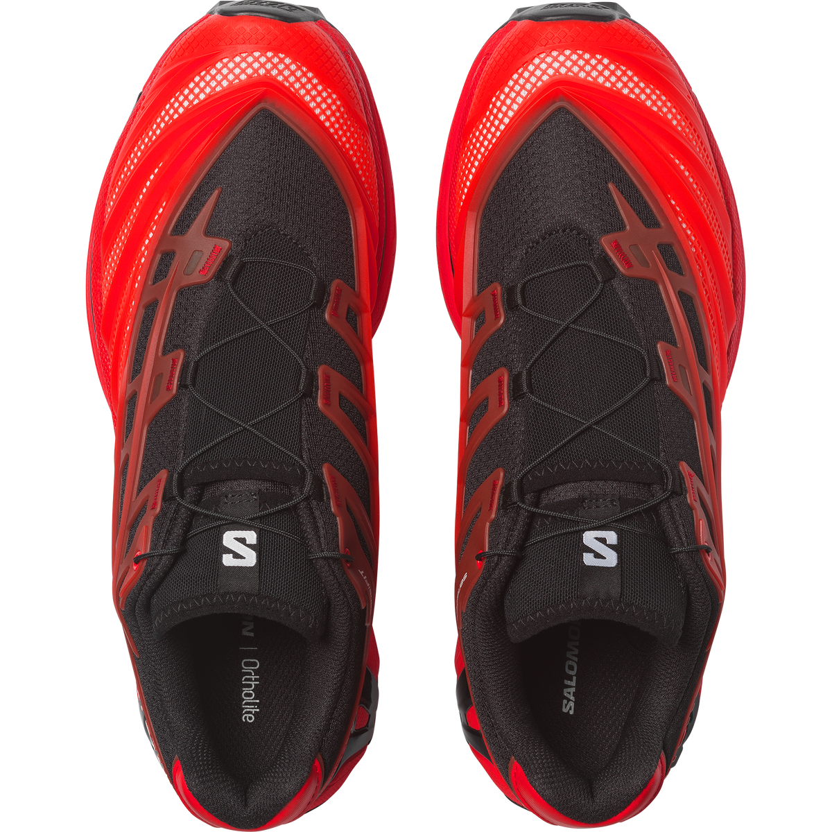 【NEW】XT-EVO