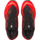 【NEW】XT-EVO