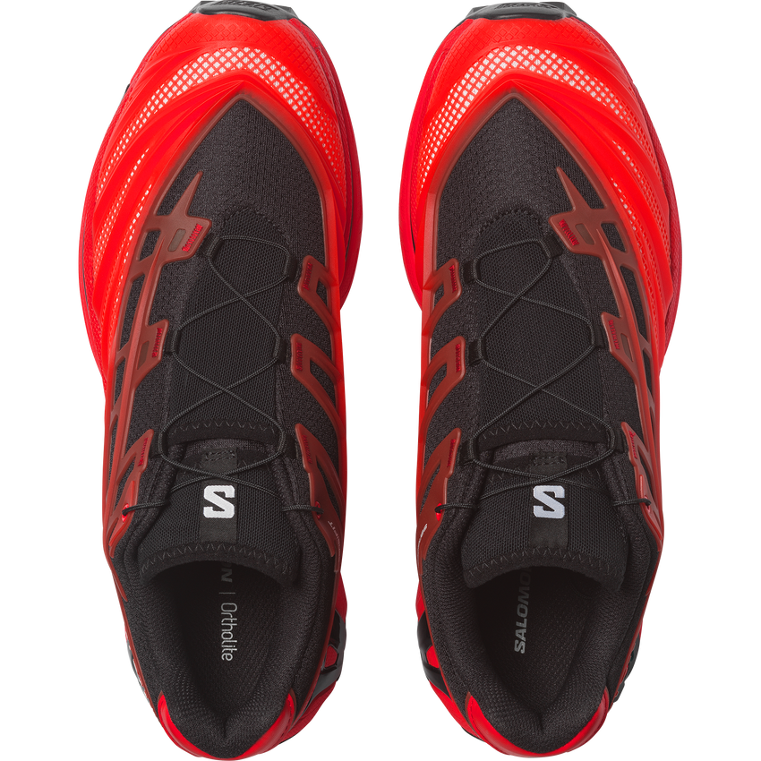【NEW】XT-EVO