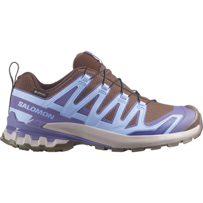 XA PRO 3D V9 GORE-TEX