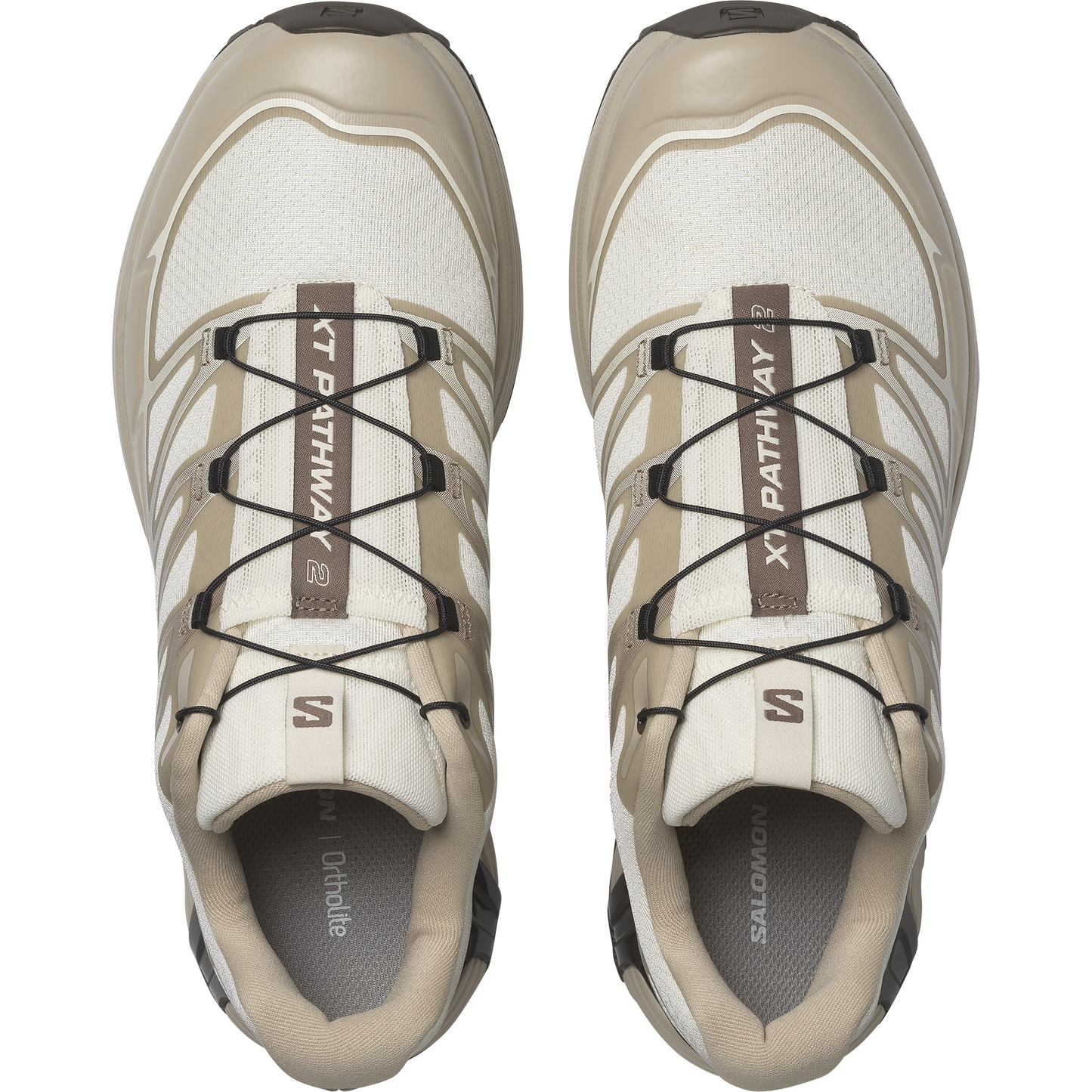 【NEW】XT-PATHWAY 2