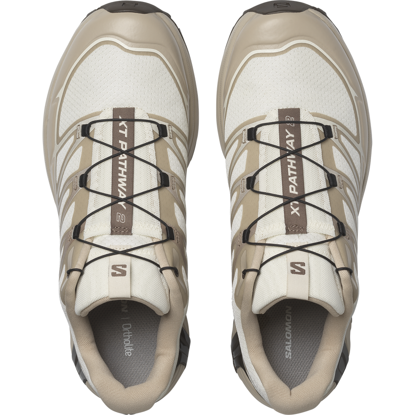 【NEW】XT-PATHWAY 2