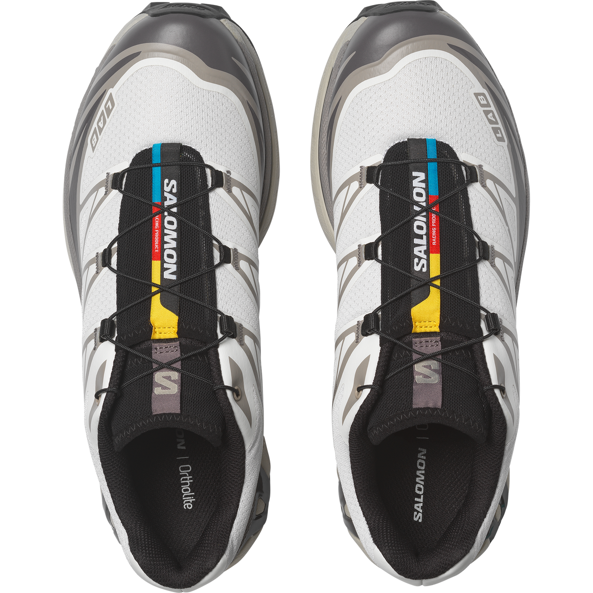 【NEW】XT-6
