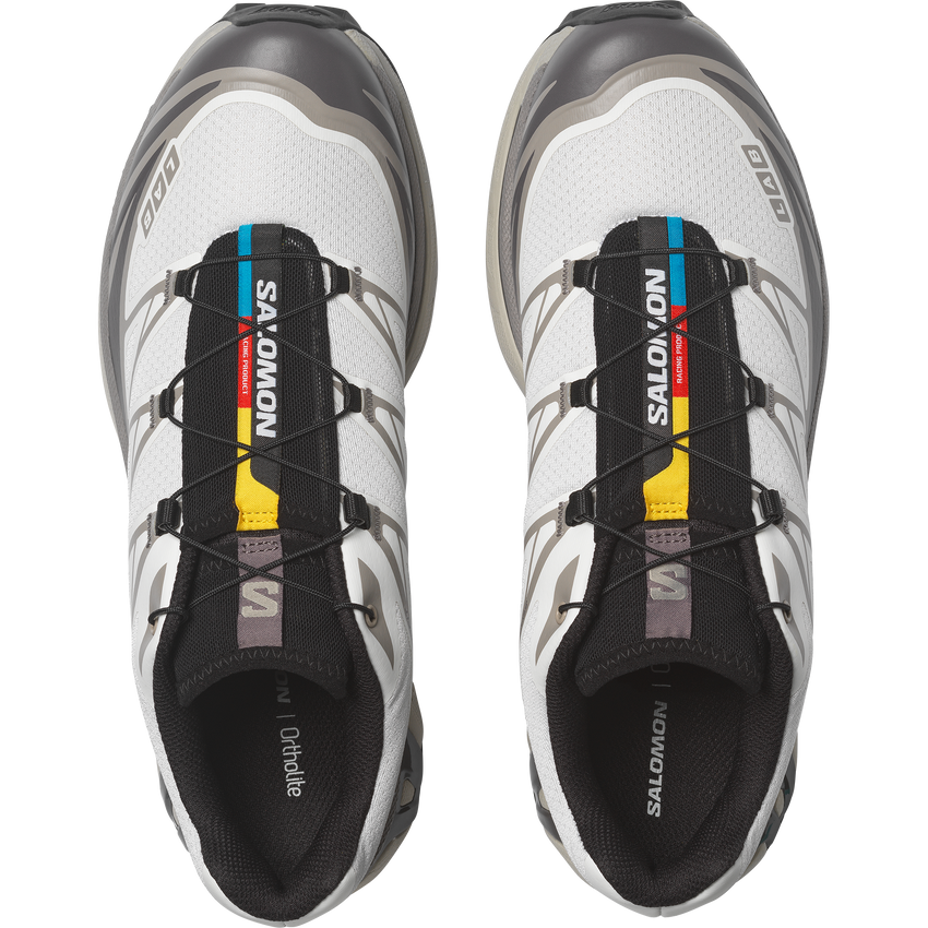 【NEW】XT-6