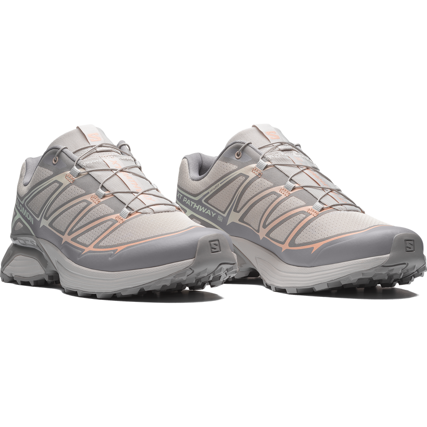 【NEW】XT-PATHWAY 2