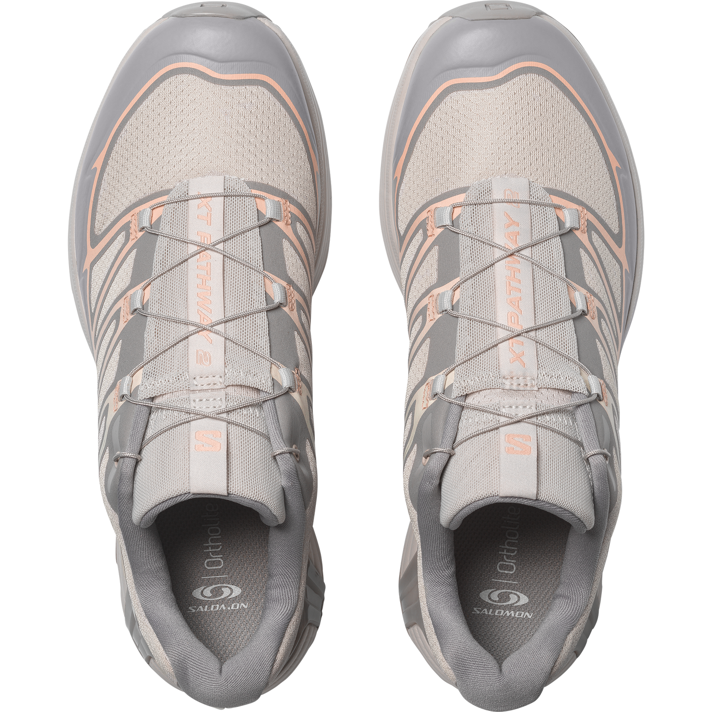 【NEW】XT-PATHWAY 2