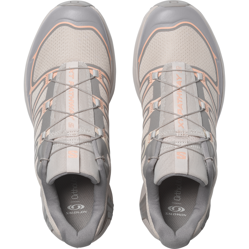 【NEW】XT-PATHWAY 2