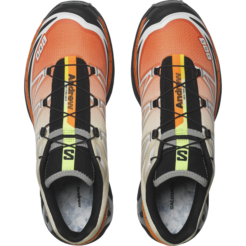 【NEW】XT-6 ANDREW