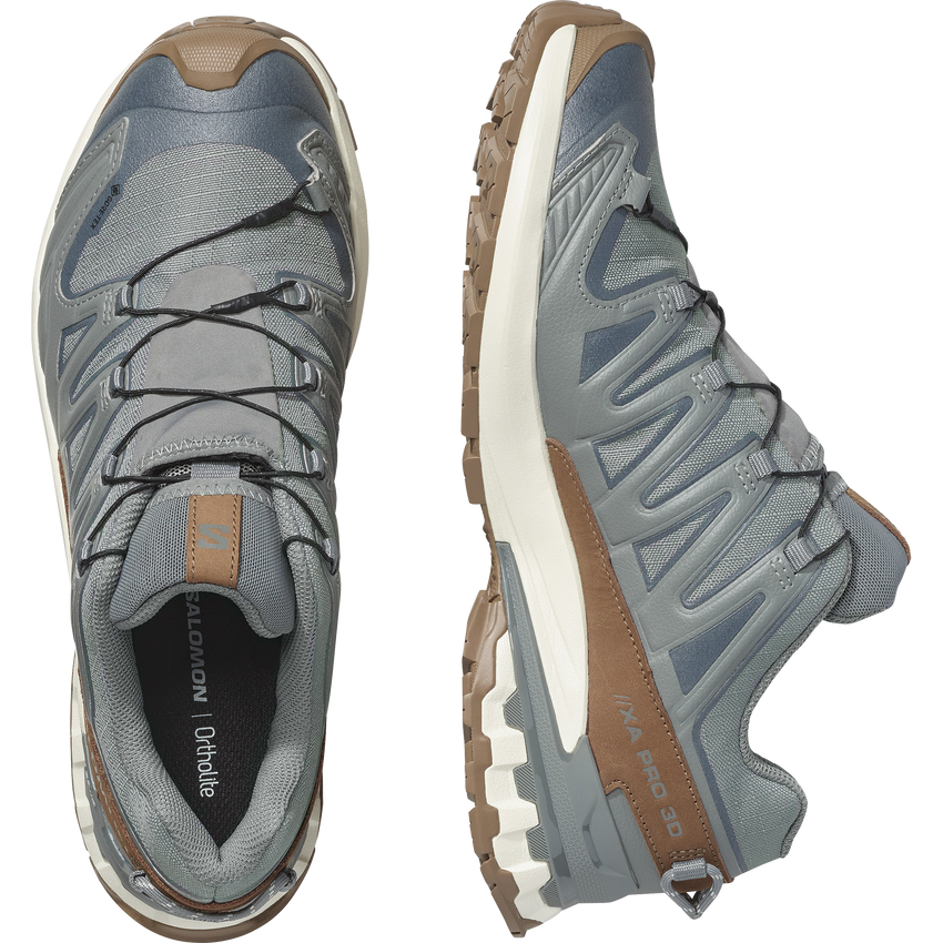 XA PRO 3D V9 GORE-TEX LIFELONG