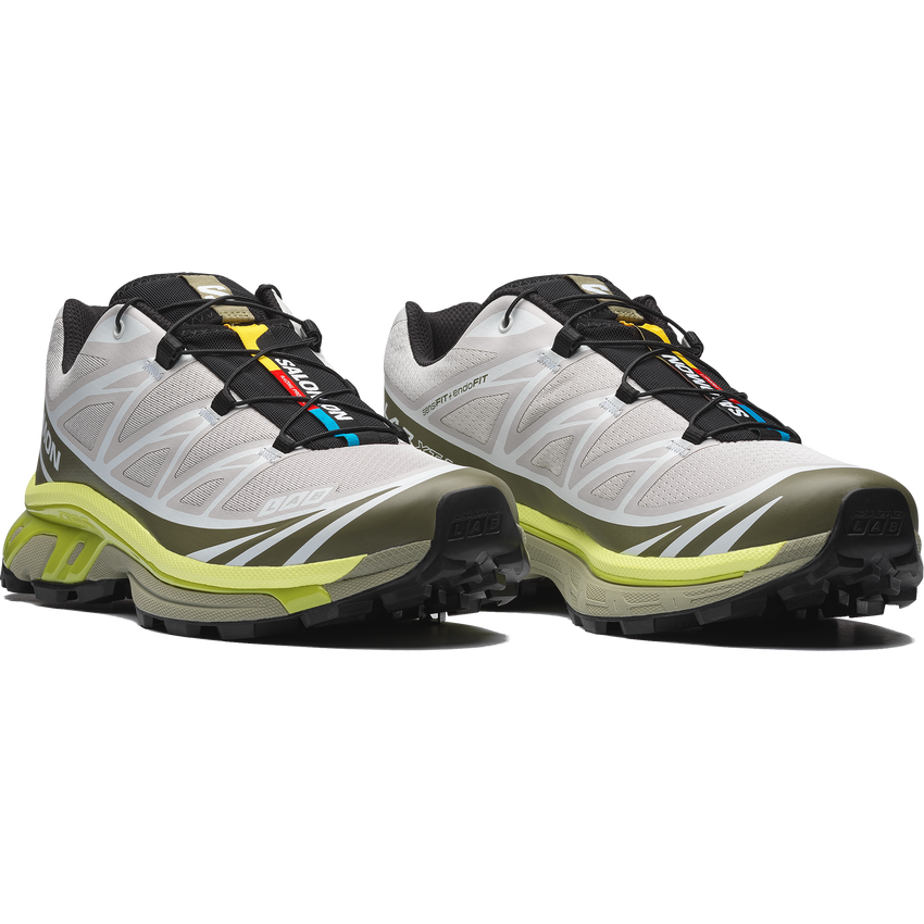 【NEW】XT-6