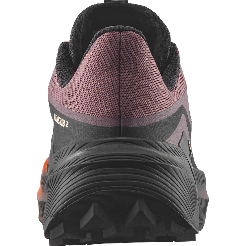【NEW】GENESIS 2 W