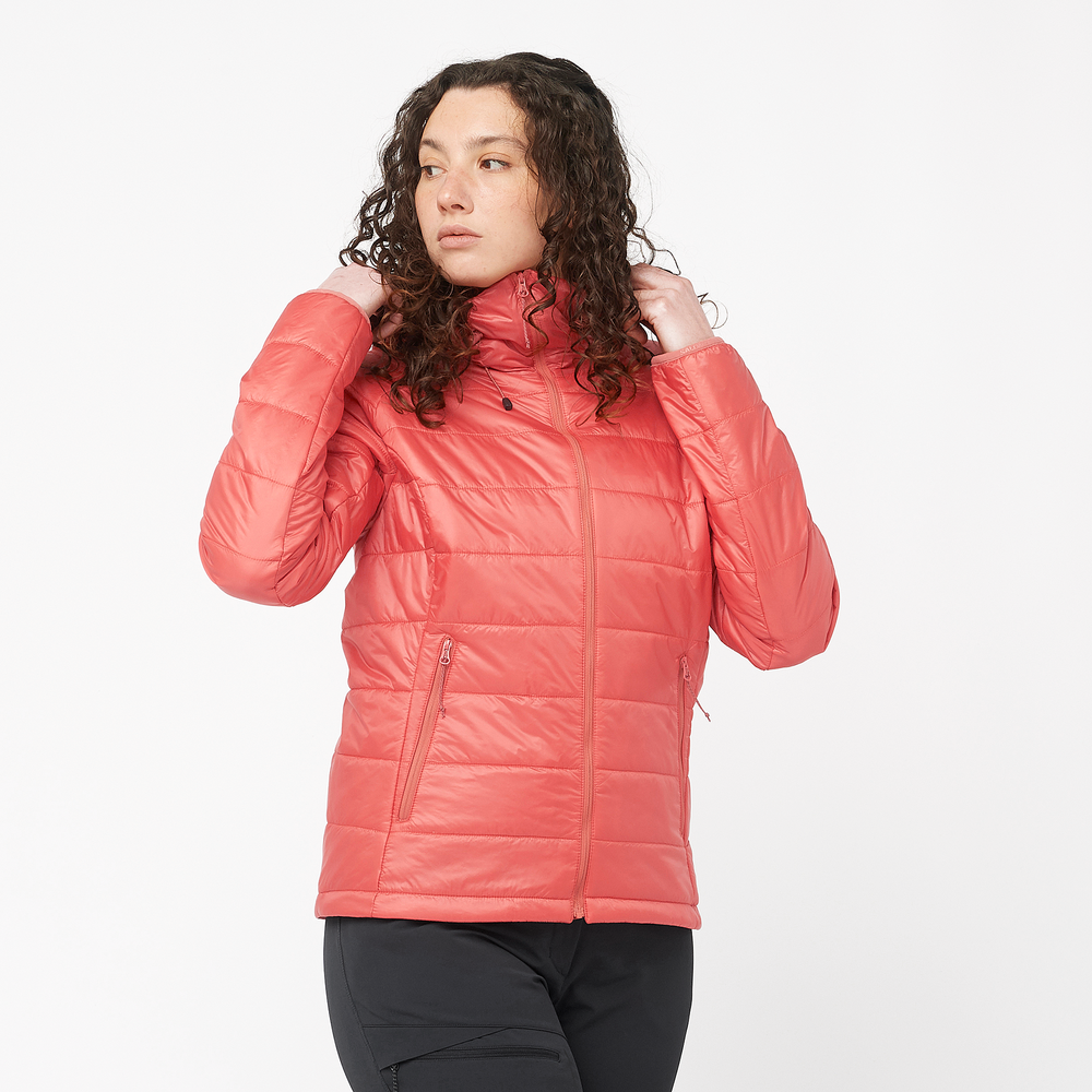 OUTLINE HOODED